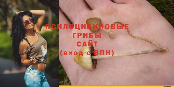 PSILOCYBIN Армянск