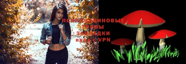 PSILOCYBIN Армянск