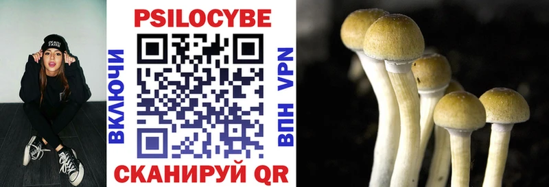 Галлюциногенные грибы Cubensis как найти наркотики kraken как войти Нязепетровск