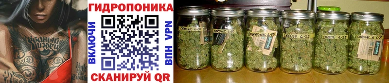 площадка какой сайт  мега зеркало  Канабис индика  Нязепетровск  магазин   